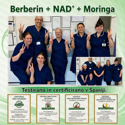 Uradna trgovina | 🌿 𝑮𝑳𝑶𝐑𝐄𝐍𝐃𝘼® Moringa · Berberin × NAD+ 10 v 1 Napredni nano obliž z mikroiglicami (samo enkrat na dan, vidni rezultati že po 7 dneh) 🌿 Za osebe s prekomerno telesno težo, ohlapno kožo, sladkorno boleznijo in težavami s sklepi